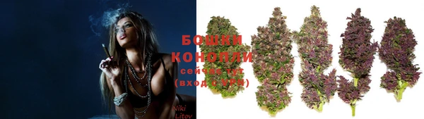 гидропоника Новокубанск
