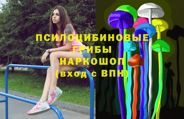 гидропоника Новокубанск