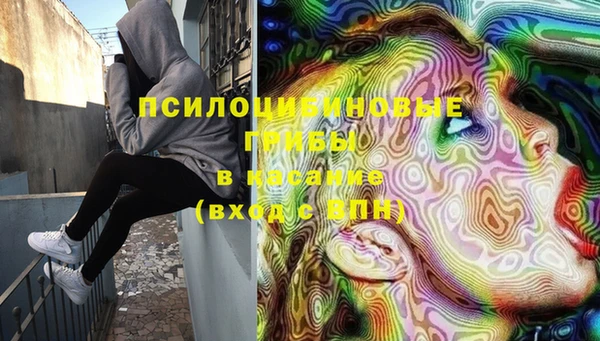 каннабис Новодвинск