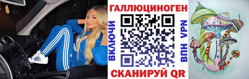 закладка  Покровск  Псилоцибиновые грибы GOLDEN TEACHER 